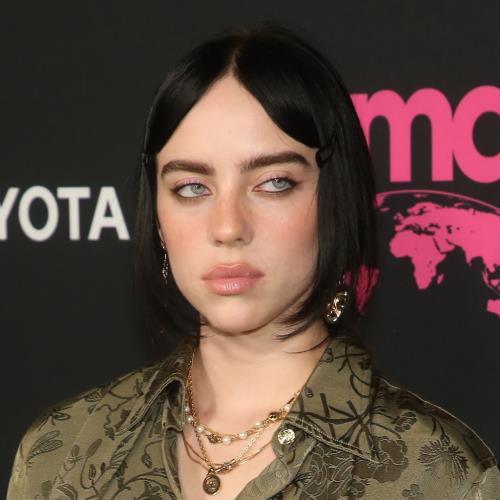 Billie Eilish stalker killed by train in New York