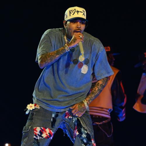 Mistrial declared in Chris Brown dog attack case