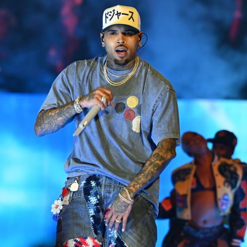 Chris Brown contests  million dog attack verdict