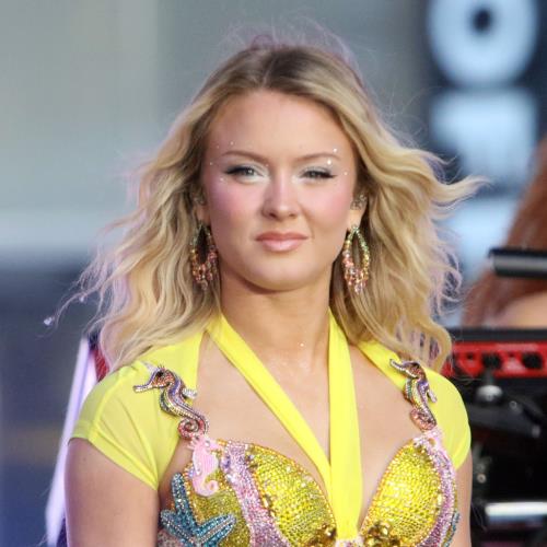Zara Larsson responds to The White House using song in anti-immigration video